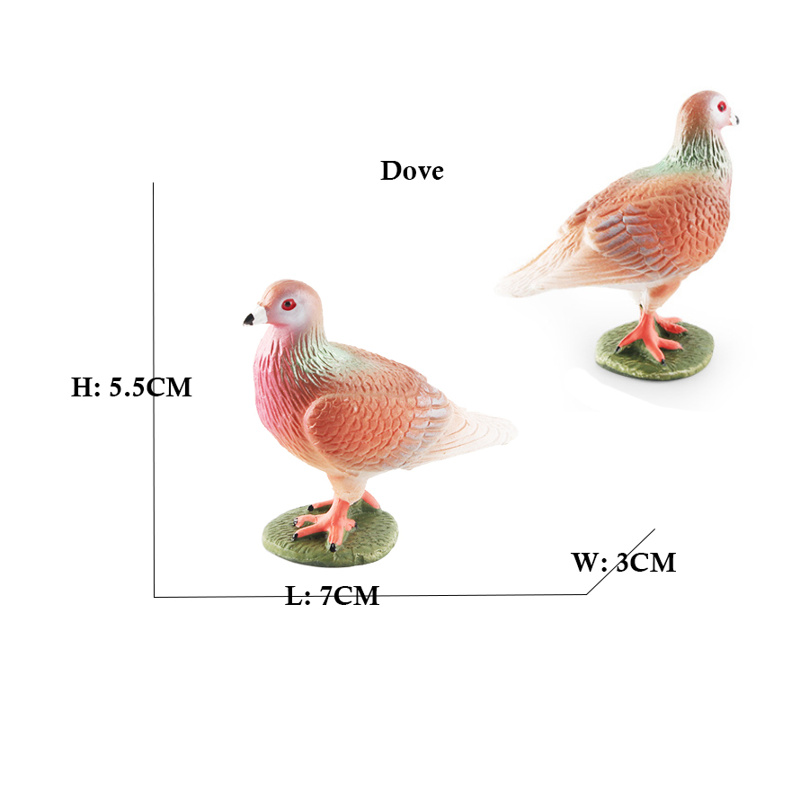 숲 동물 플라밍고 터키 Seahawk Tucan 키위  - Kids Toys Under 200 리뷰 및 가격