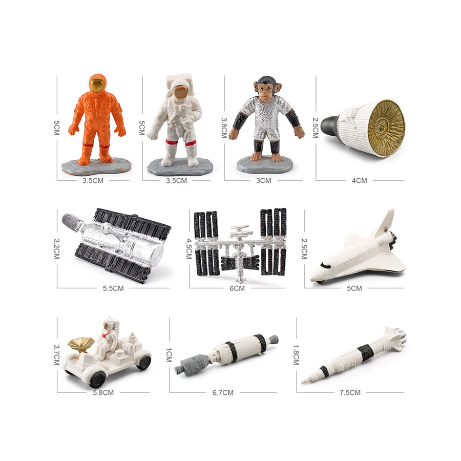 현실적인 인체 장기, 고대 이집트, 세계 각국의 태양계 - Kids Toys Egypt 리뷰 및 가격
