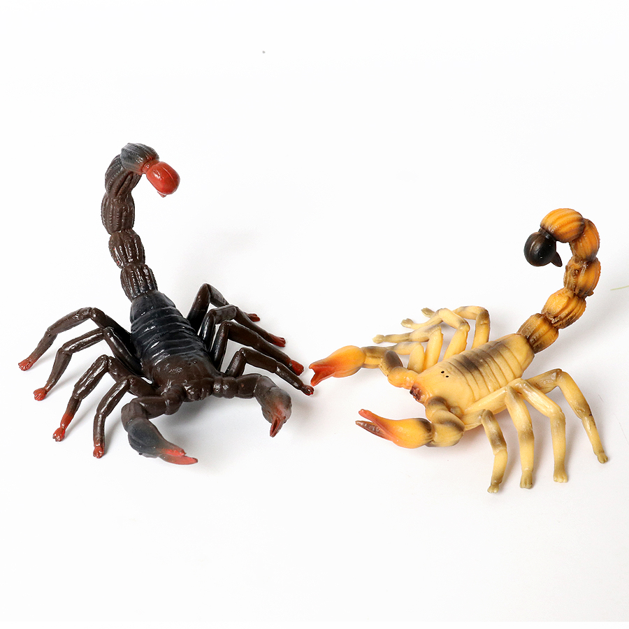 현실적인 곤충 동물 피규어, 거름개미, 마라투스 볼란스 - Kids Toys Under 200 리뷰 및 가격