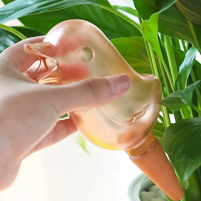 고품질 자동 꽃 waterer 식물 waterer 자체 - Water Balloon Set 리뷰 및 가격